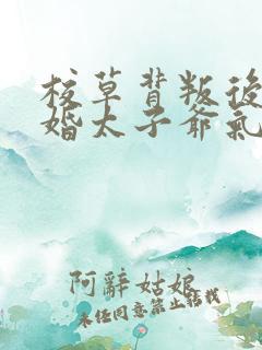 校草背叛后我闪婚太子爷气疯他苏念笙最新