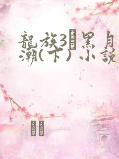 龙族3·黑月之潮(下) 小说