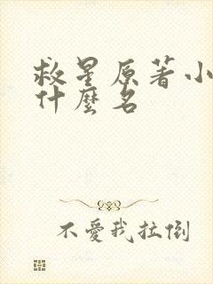 救星原著小说叫什么名