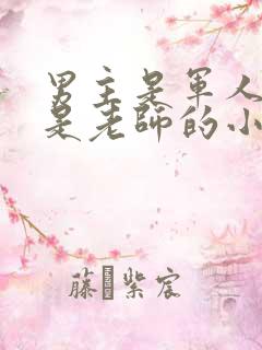 男主是军人女主是老师的小说