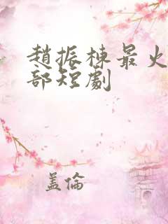 赵振栋最火10部短剧