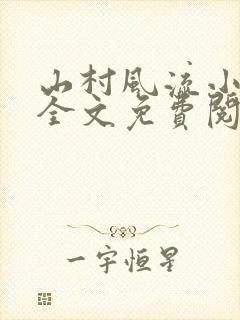 山村风流小傻医全文免费阅读