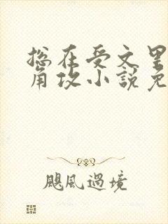 总在受文里抢主角攻小说免费阅读