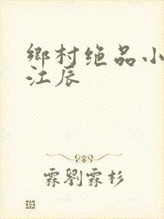 乡村绝品小神医江辰