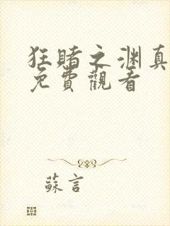 狂赌之渊真人版免费观看