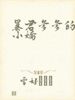 暴君爹爹的团宠小娇