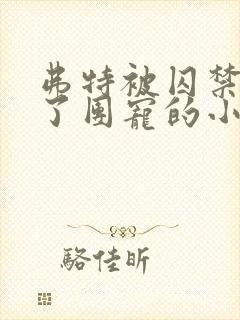 弗特被囚禁后成了团宠的小说