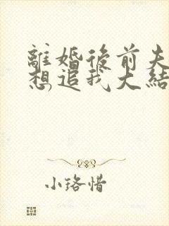 离婚后前夫总是想追我大结局