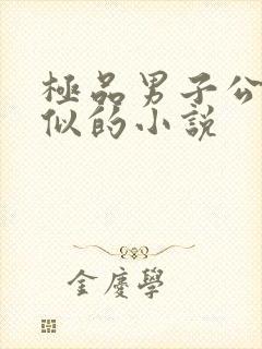 极品男子公寓类似的小说