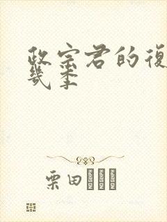 政宗君的复仇有几季