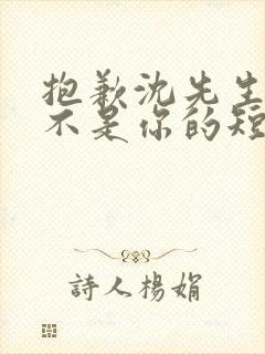 抱歉沈先生孩子不是你的短剧在线观看全集