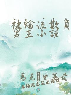 被轮流欺负的双男主小说