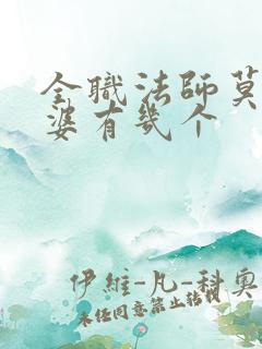 全职法师莫凡老婆有几个