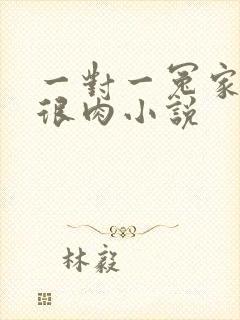 一对一冤家高h很肉小说