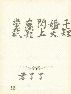 带崽闪婚千亿总裁宠上天短剧