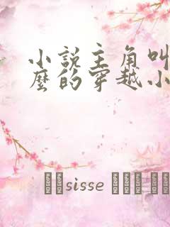 小说主角叫苏什么的穿越小说