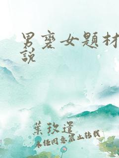 男变女题材的小说