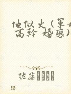 他似火 (军婚 高干 婚恋)全文