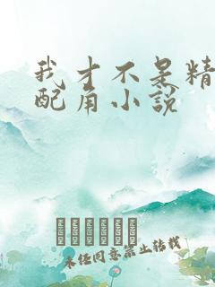 我才不是精灵文配角小说