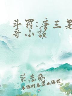 斗罗:唐三是我哥小说