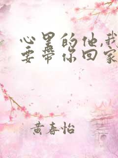 心里的他,我想要带你回家是什么歌