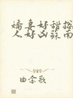 娇妻好甜总裁大人好凶苏南风全文阅读