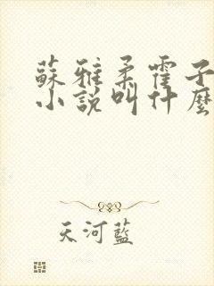 苏雅柔霍子期的小说叫什么名字