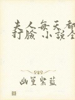 夫人每天都在线打脸 小说全集txt