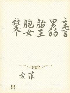 双胞胎男主和一个女主的言情小说