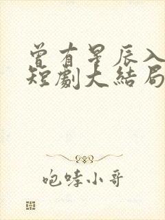 曾有星辰入我梦短剧大结局