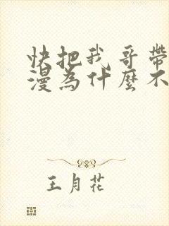 快把我哥带走动漫为什么不更新了