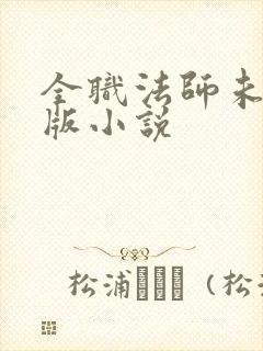 全职法师未删减版小说