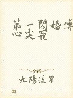 第一闪婚傅少的心尖宠