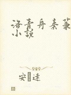 洛青舟秦蒹葭的小说