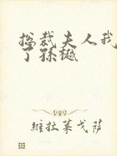 总裁夫人我当腻了孙樾