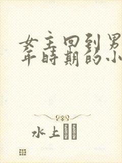 女主回到男主少年时期的小说