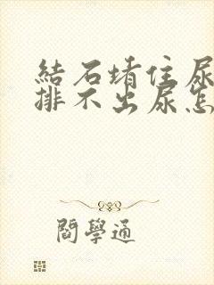 结石堵住尿道口排不出尿怎么办