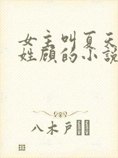 女主叫夏天男主姓顾的小说