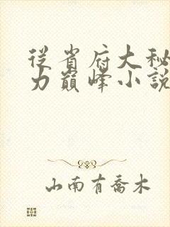 从省府大秘到权力巅峰小说完整