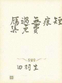 雁过无痕短剧全集免费