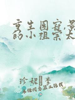 重生团宠,景爷的小祖宗太粘人全文免费阅读