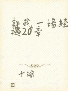 许我一场经年不遇20章