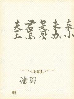 夫君是未来大魔王怎么办小说