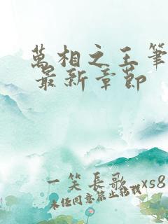 万相之王笔趣阁 最新章节