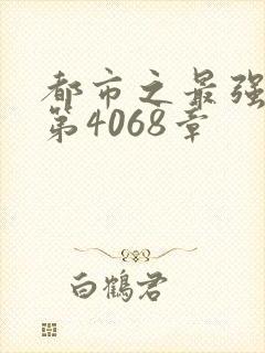 都市之最强狂兵第4068章