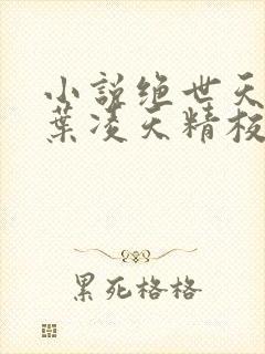 小说绝世天骄·叶凌天精校版