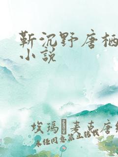 靳沉野唐栖雾的小说