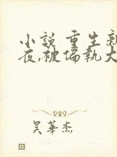 小说 重生新婚夜,被偏执大佬亲疯了