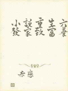 小说重生六零:发家致富养崽崽