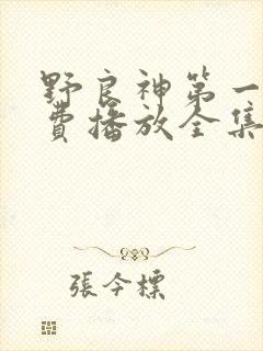 野良神第一季免费播放全集